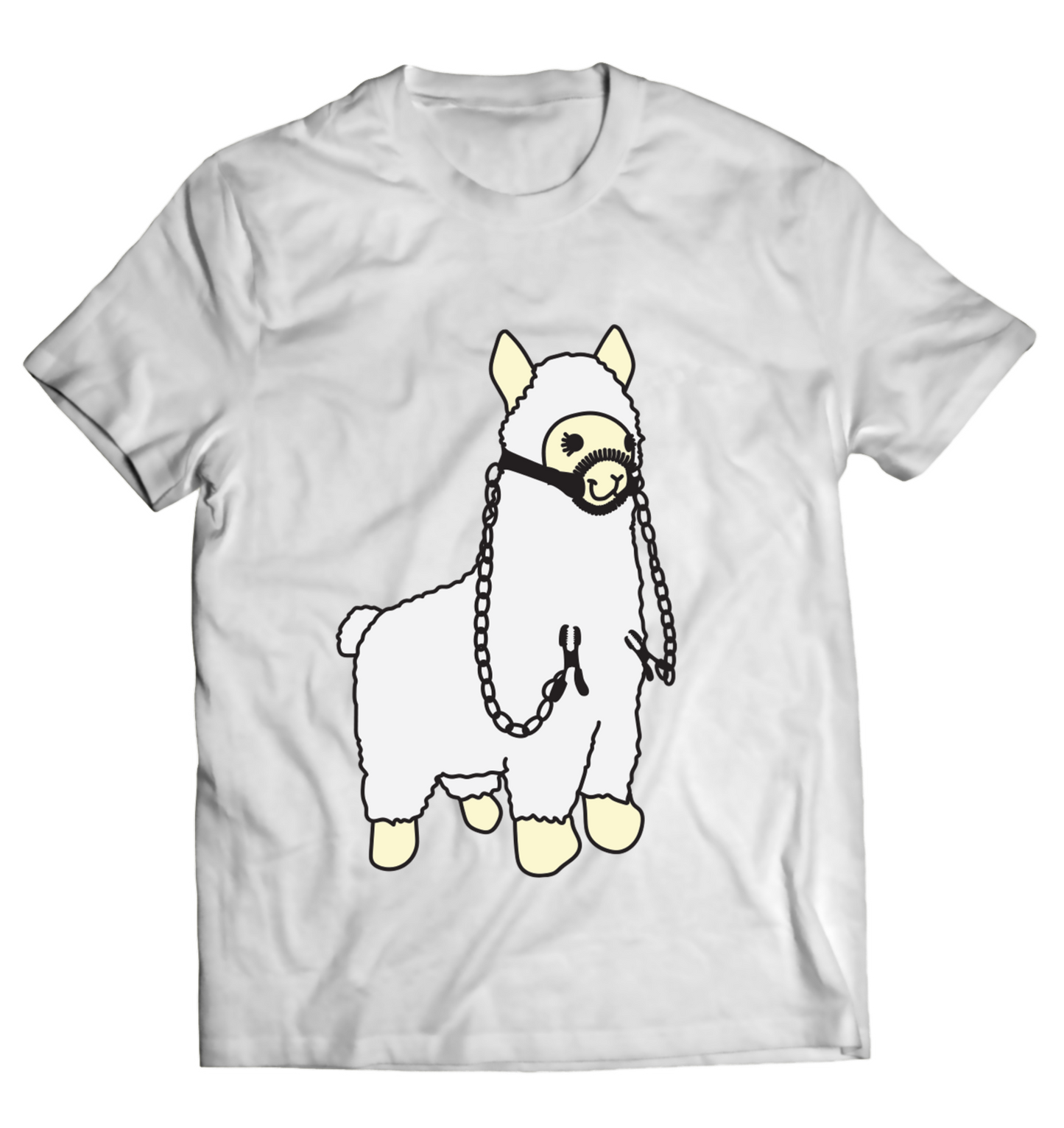 Llama